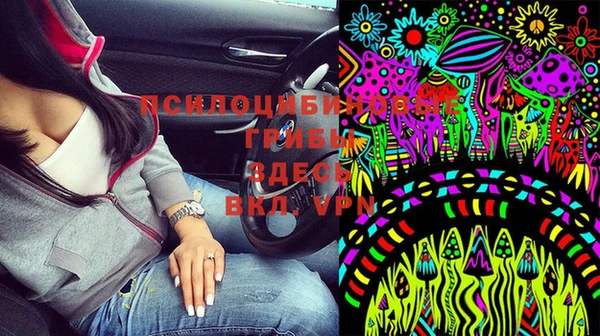 тгк Алексин