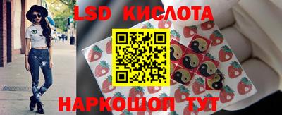 PSILOCYBIN Новодвинск