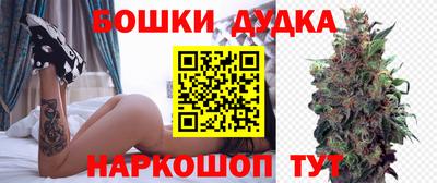 PSILOCYBIN Новодвинск