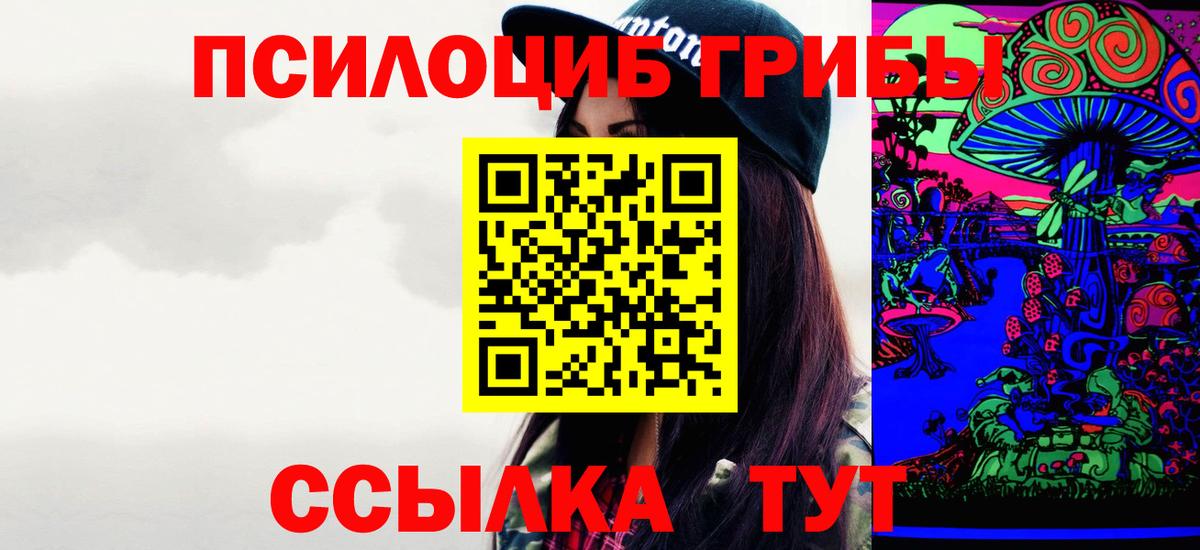 Псилоцибиновые грибы прущие грибы  Вход с VPN  Тамбов 
