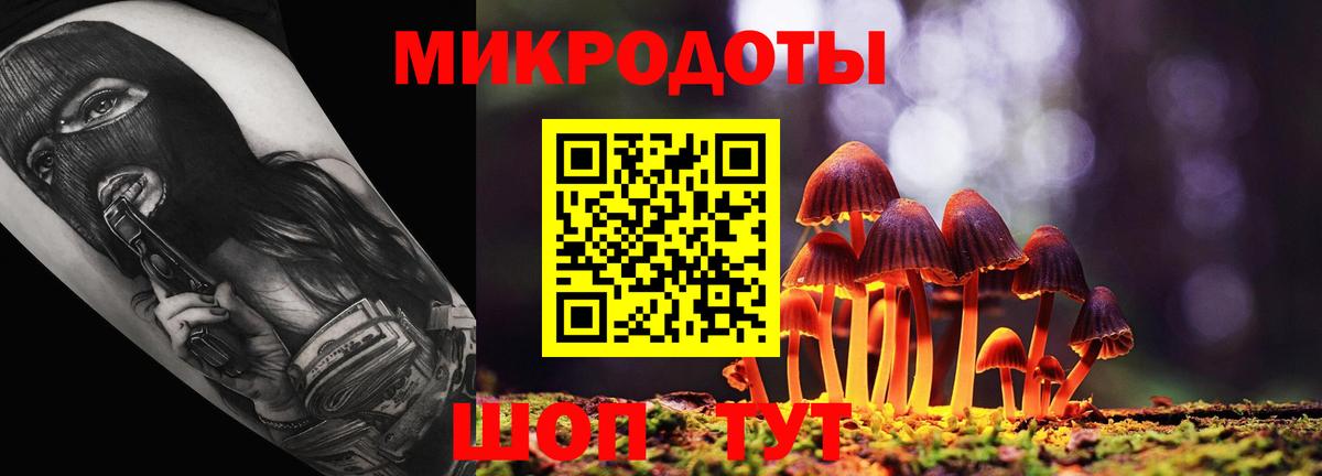 Галлюциногенные грибы Magic Shrooms Тамбов