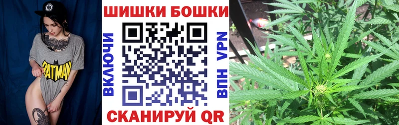 кракен вход  как найти закладки  Тамбов  Шишки марихуана конопля 